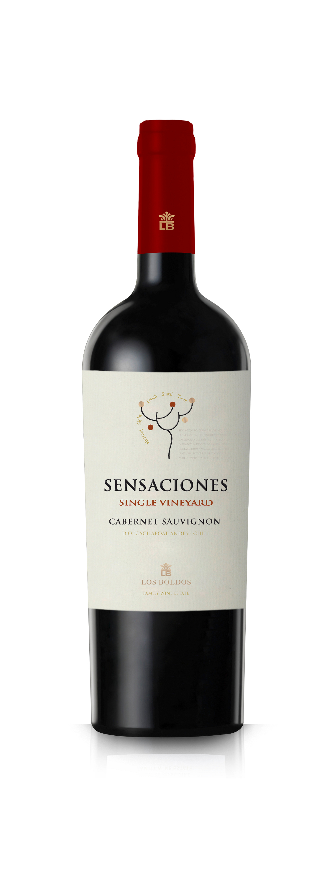 Sensaciones Shiraz - Rượu vang Chile nhập khẩu chính hãng