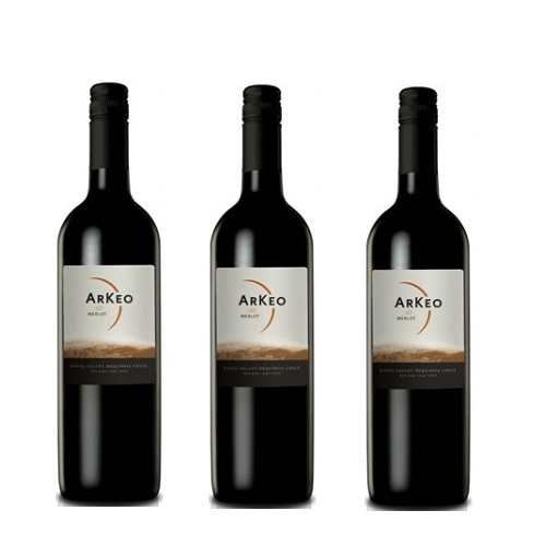 Arkeo Shiraz - Rượu vang Chile nhập khẩu